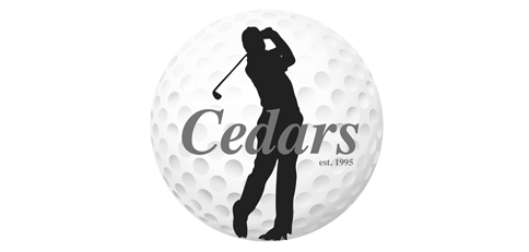 client-logo4